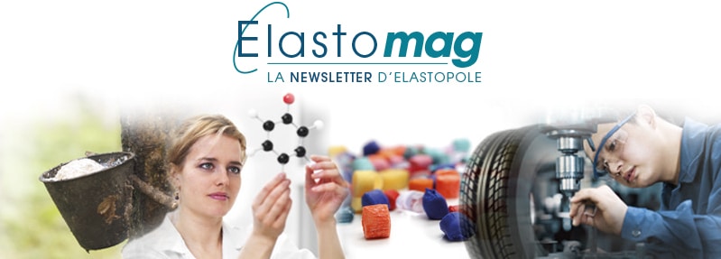 ElastoMag Image